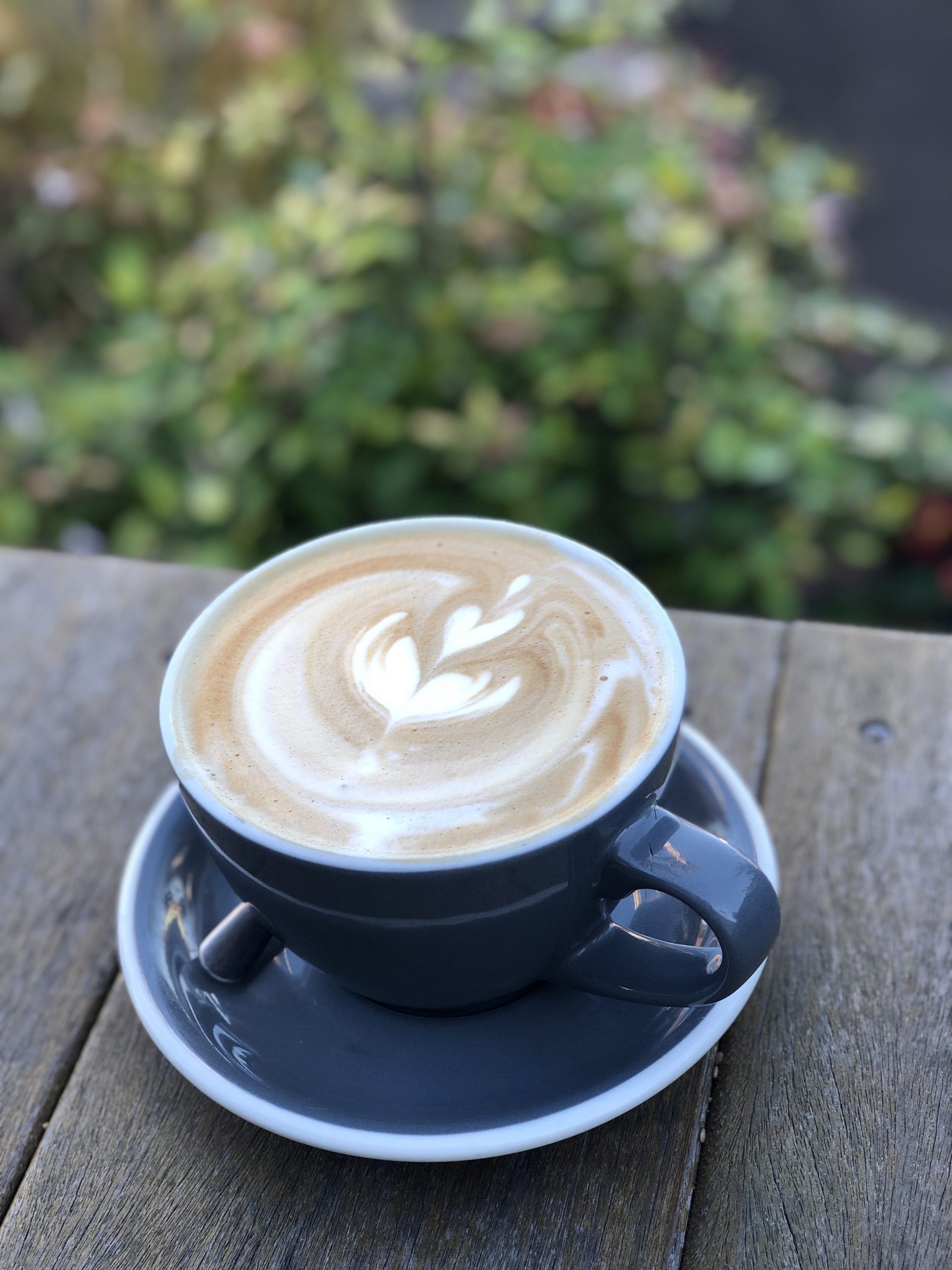 Latte at Cat & Cloud Coffee in Santa Cruz